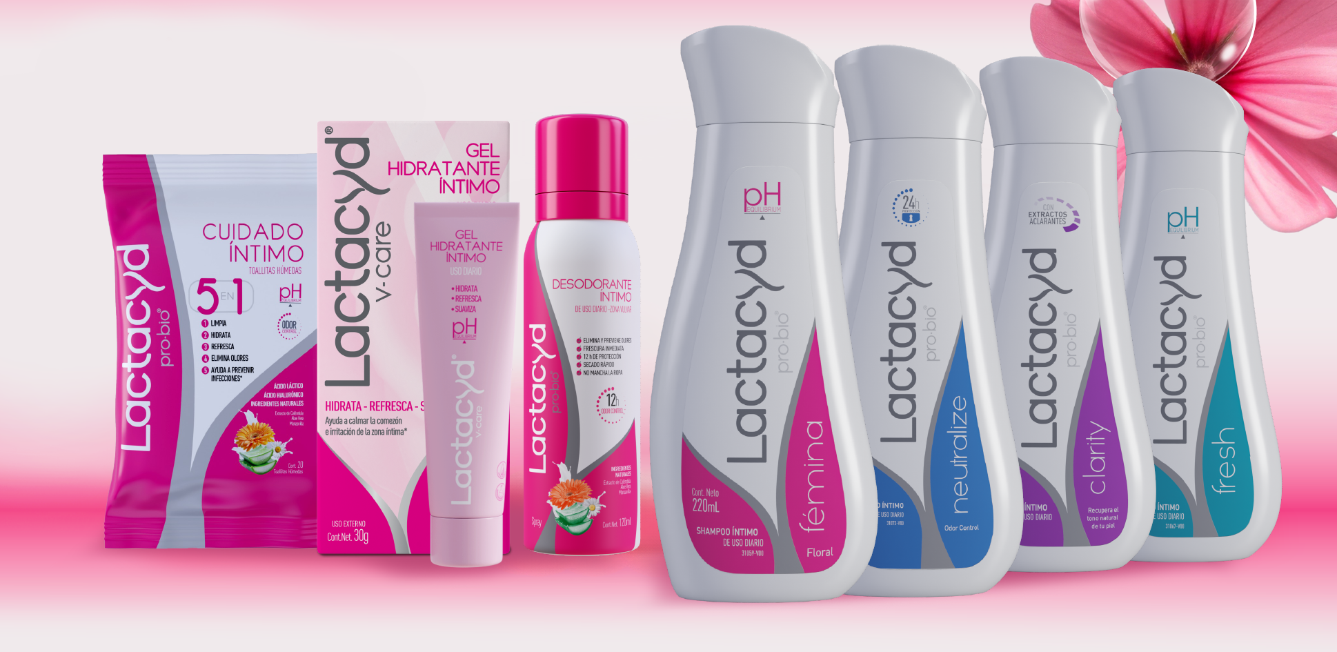 Preguntas Frecuentes Banner