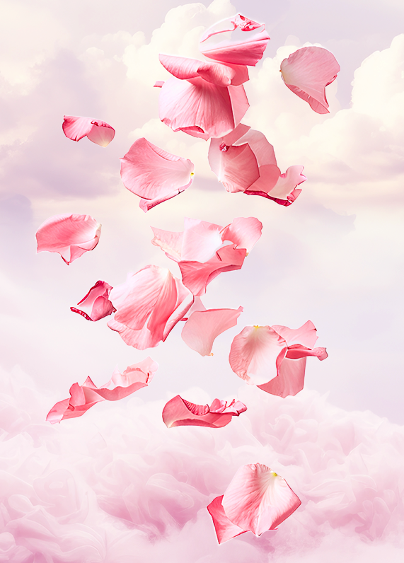 Lactacyd product information