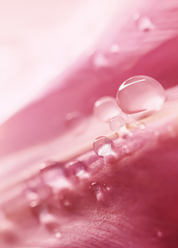 Lactacyd product information